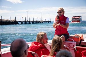 Rottnest Island Tour from Perth or Fremantle including Adventure Speed Boat Ride - Accommodation Australia