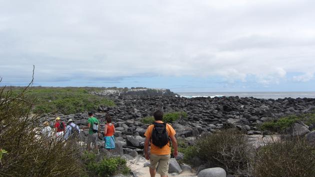 Ecuador Extends Protected Galapagos Marine Reserve Accommodation Australia